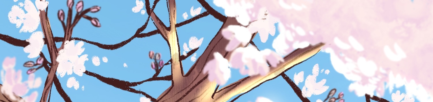 Cherry blossom branches against a blue sky